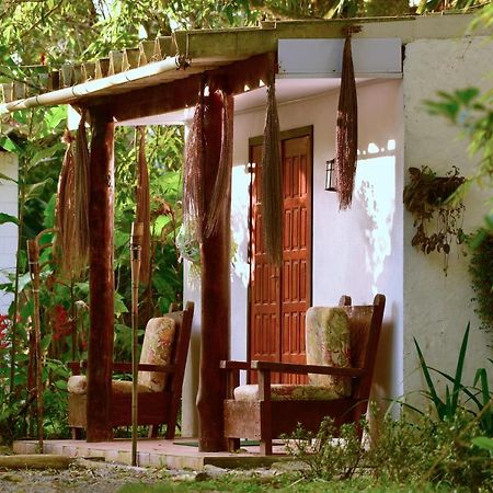 Casa A Beira Do Rio Jaguareguava Na Mata Atlantica Em Bertioga Sp Villa Екстериор снимка