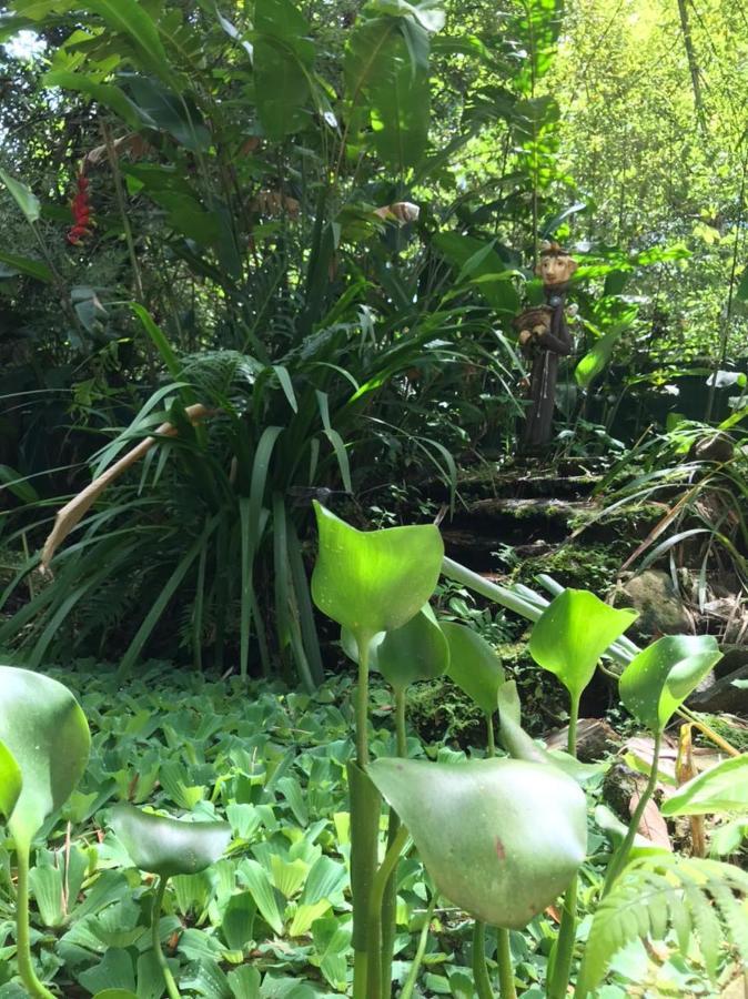 Casa A Beira Do Rio Jaguareguava Na Mata Atlantica Em Bertioga Sp Villa Екстериор снимка