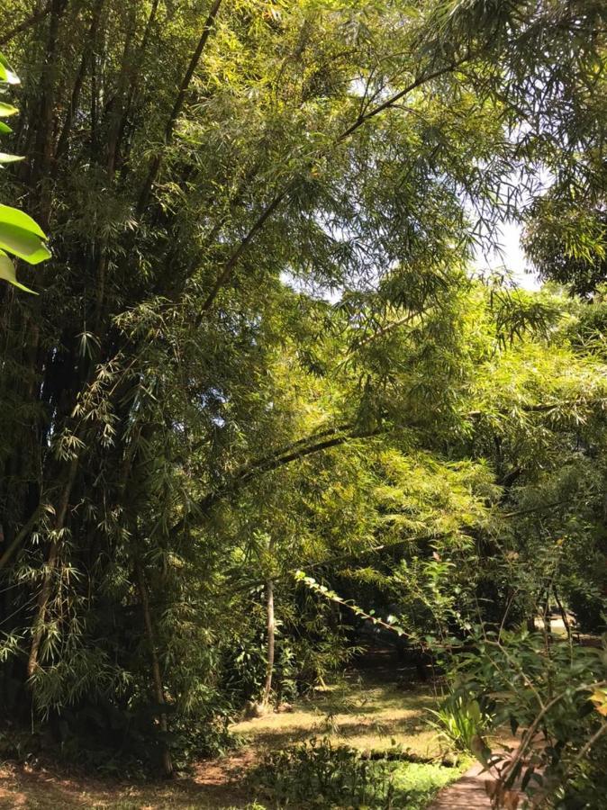 Casa A Beira Do Rio Jaguareguava Na Mata Atlantica Em Bertioga Sp Villa Екстериор снимка