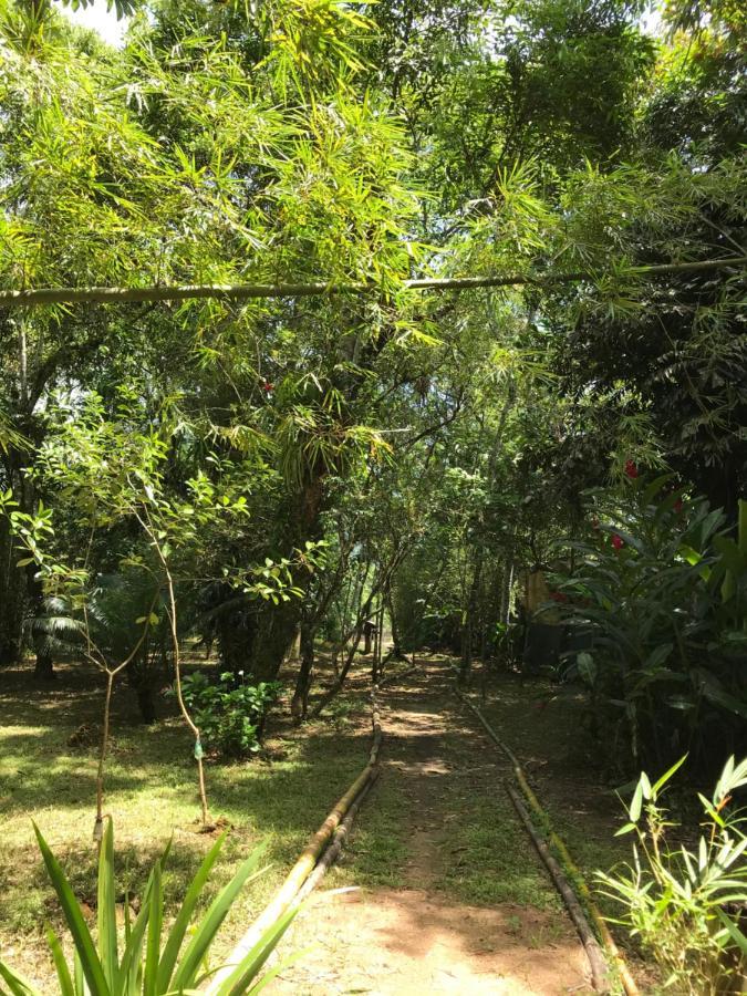 Casa A Beira Do Rio Jaguareguava Na Mata Atlantica Em Bertioga Sp Villa Екстериор снимка