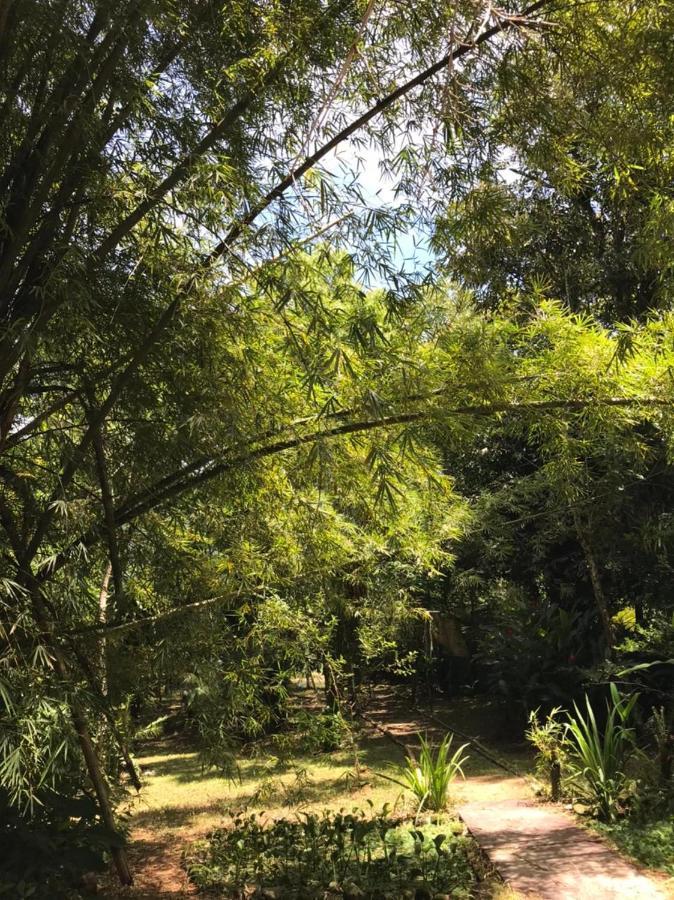 Casa A Beira Do Rio Jaguareguava Na Mata Atlantica Em Bertioga Sp Villa Екстериор снимка